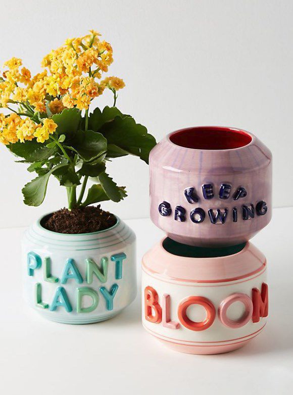 Bring some spring blooms inside with these pots